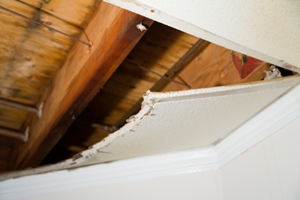 Water-Damage-Edgewood-WA